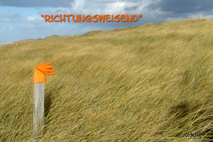 Humoriges - Richtungsweisend