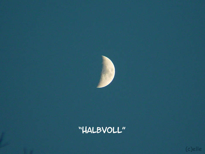 Humor Halbvoll Halbmond