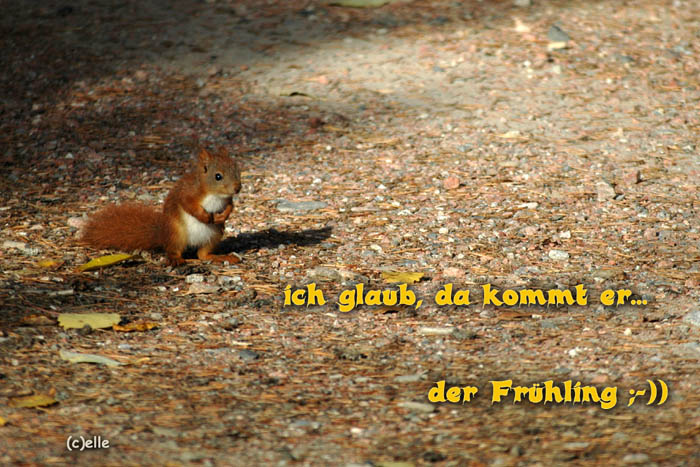 Frhling