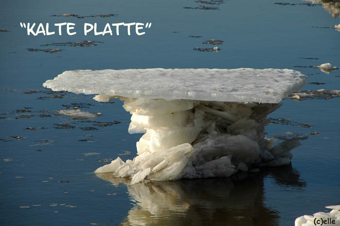 Kalte Platte