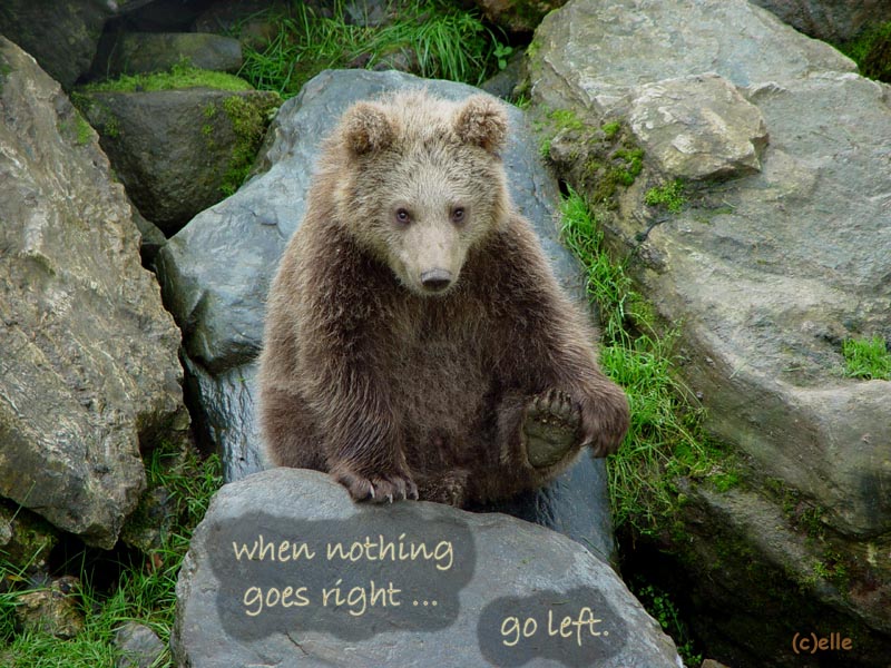 When nothing goes right - go left
