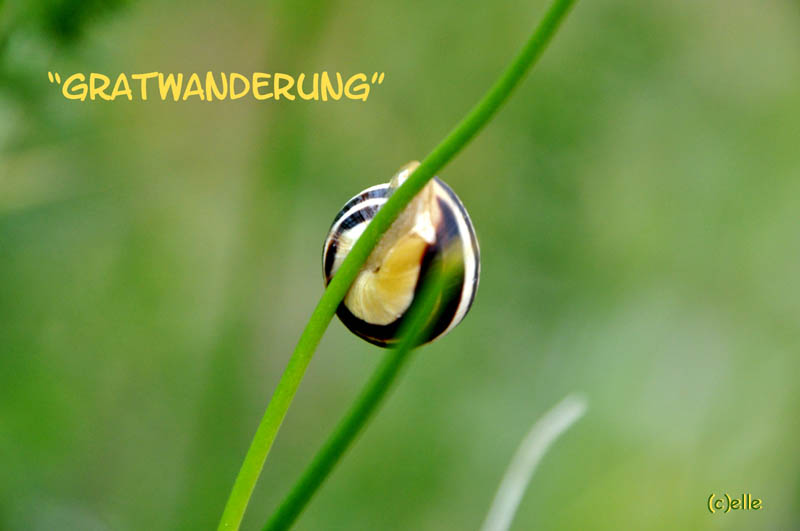 Gratwanderung