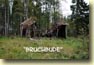Bruchbude