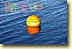 es fiel einmal ein bunter Ball