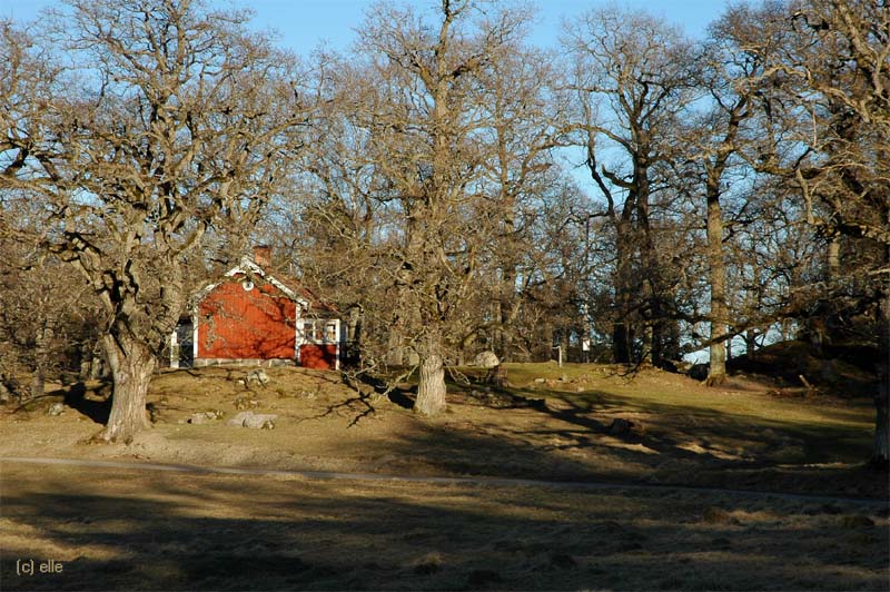 Naturreservatet Gripsholms Hjorthage - Naturreservat Gripsholm Hirschgehege