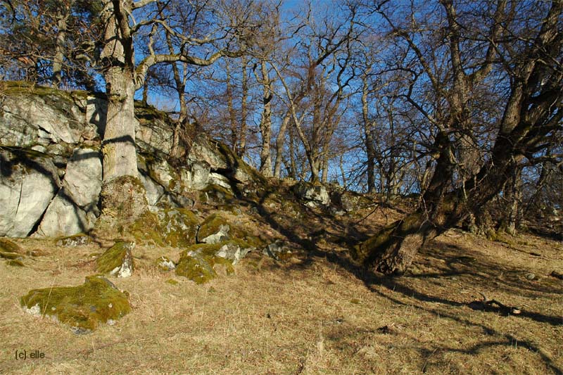 Naturreservatet Gripsholms Hjorthage - Naturreservat Gripsholm Hirschgehege