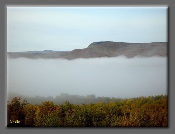 Lappland im Herbst 2003 - Elles Sicht