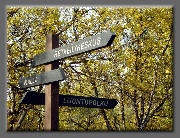 Lappland im Herbst 2003 - Elles Sicht