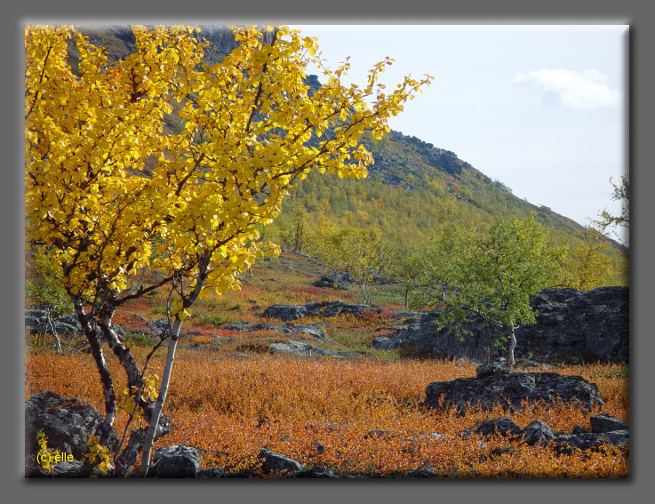 Lappland im Herbst 2003 - Elles Sicht