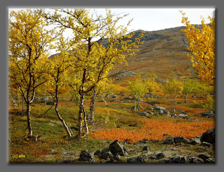 Lappland im Herbst 2003 - Elles Sicht