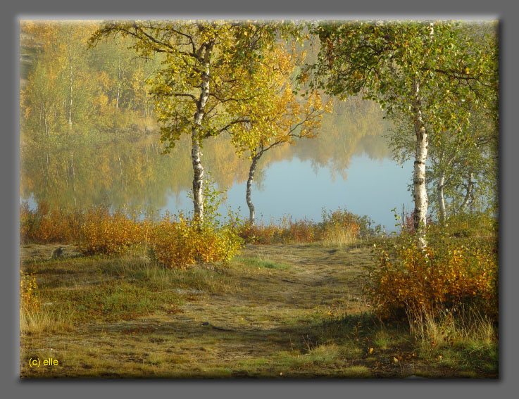 Lappland im Herbst 2003 - Elles Sicht