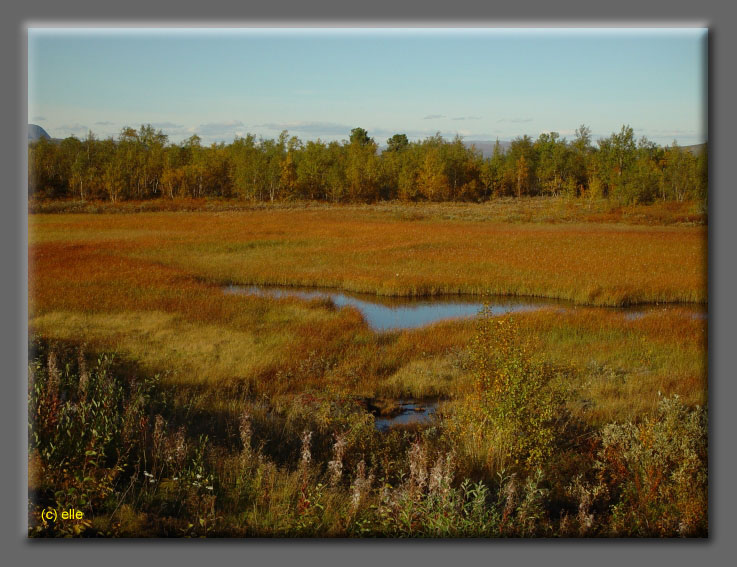 Lappland im Herbst 2003 - Elles Sicht