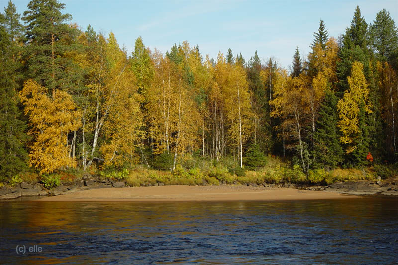 Kattilakoski - Stromschellen am Polarkreis