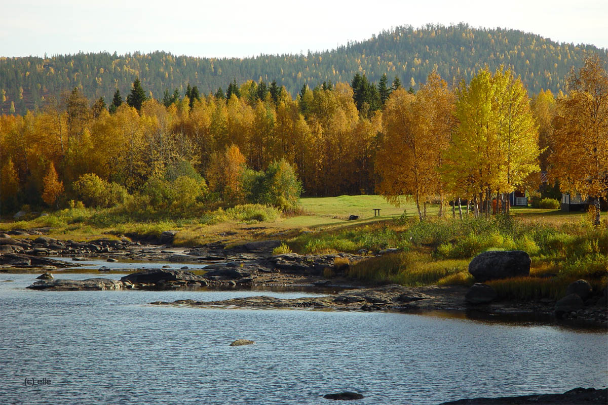 Kattilakoski - Stromschellen am Polarkreis