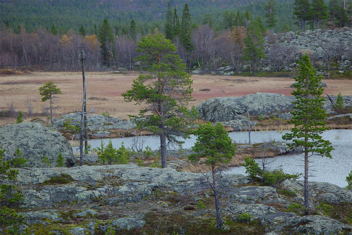 Laponia - Im Herzen Lapplands