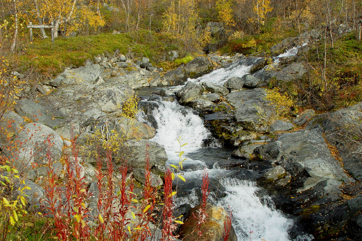 Laponia - Im Herzen Lapplands