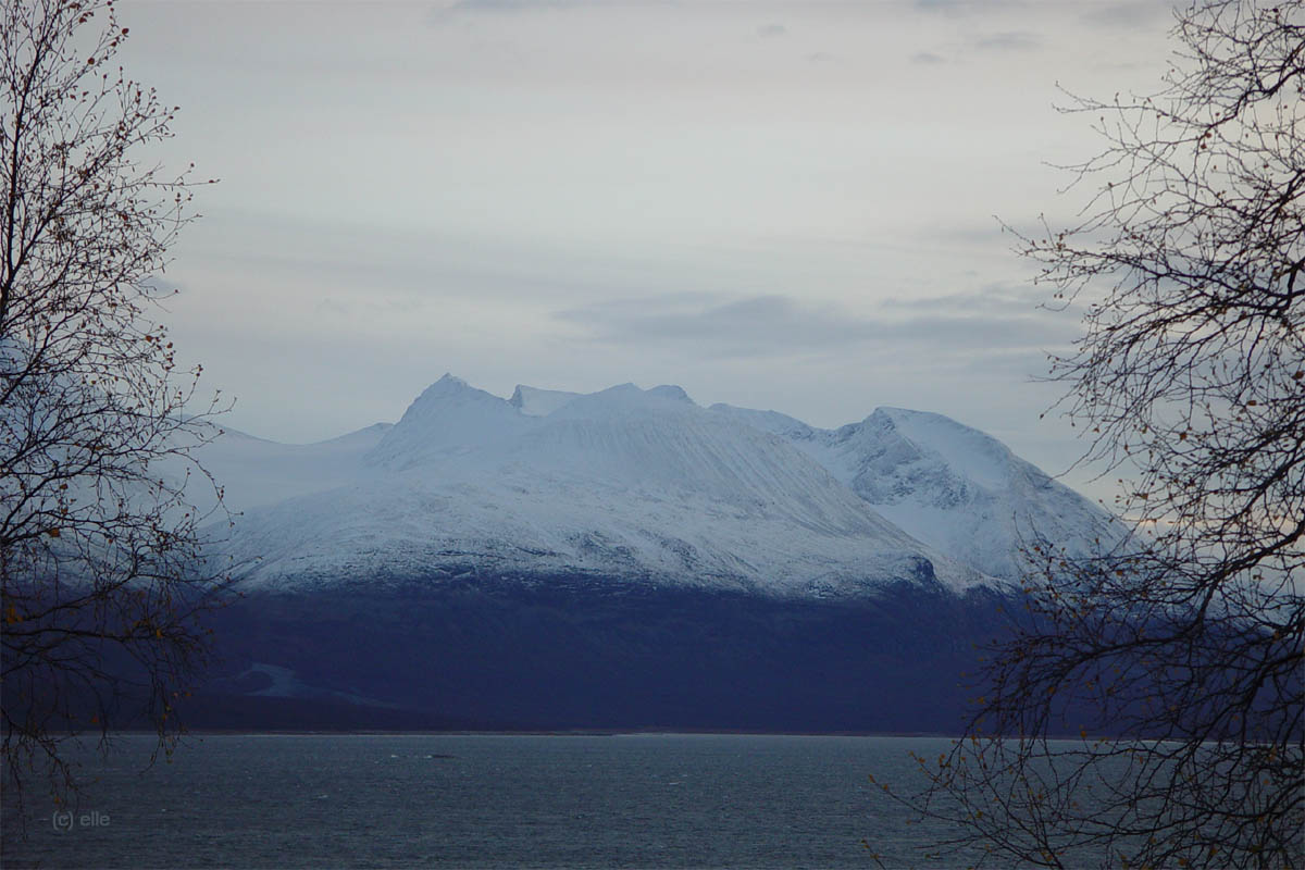 Laponia - Im Herzen Lapplands