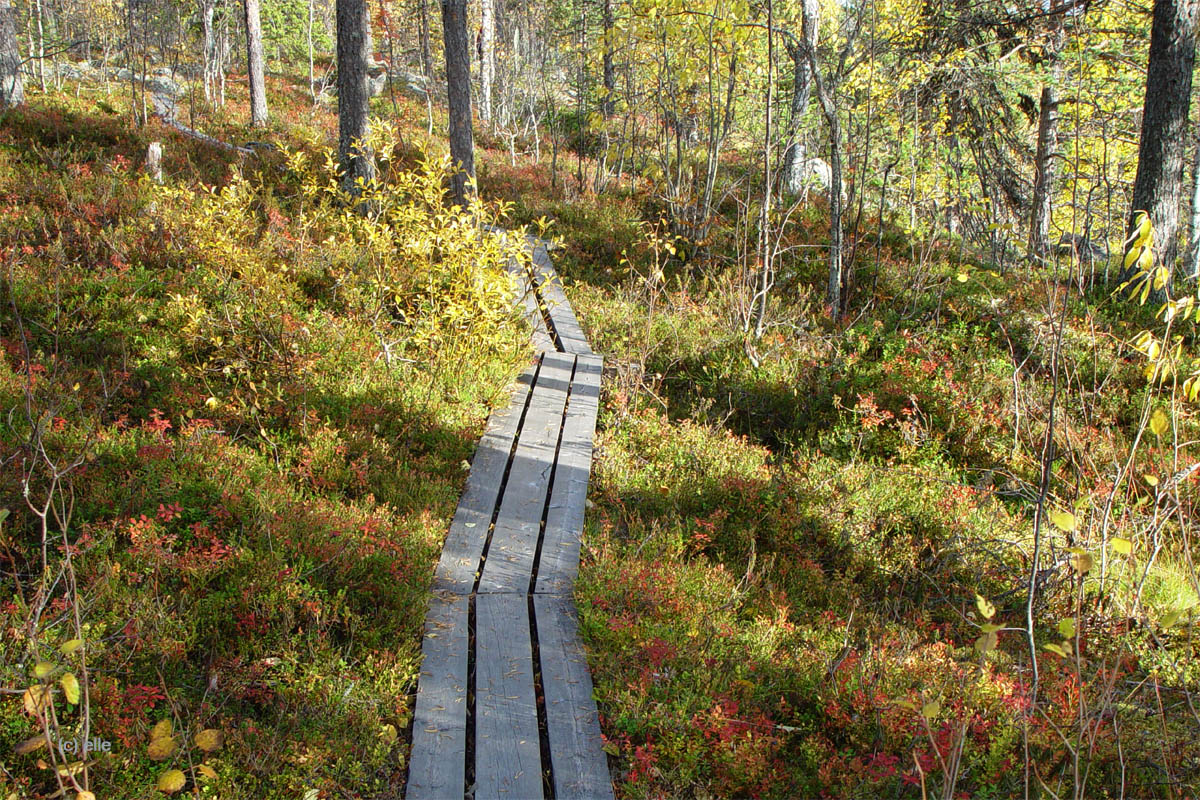 Masugnsbyn - Naturreservat mit Canyon