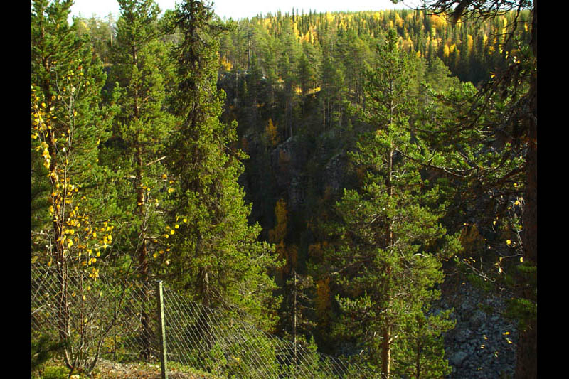 Masugnsbyn - Naturreservat mit Canyon