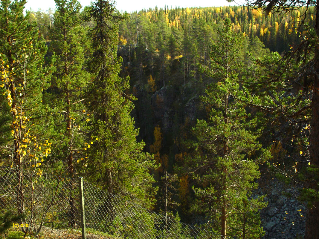 Masugnsbyn - Naturreservat mit Canyon