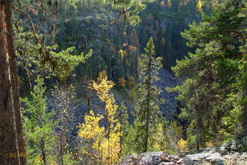 Masugnsbyn - Naturreservat mit Canyon