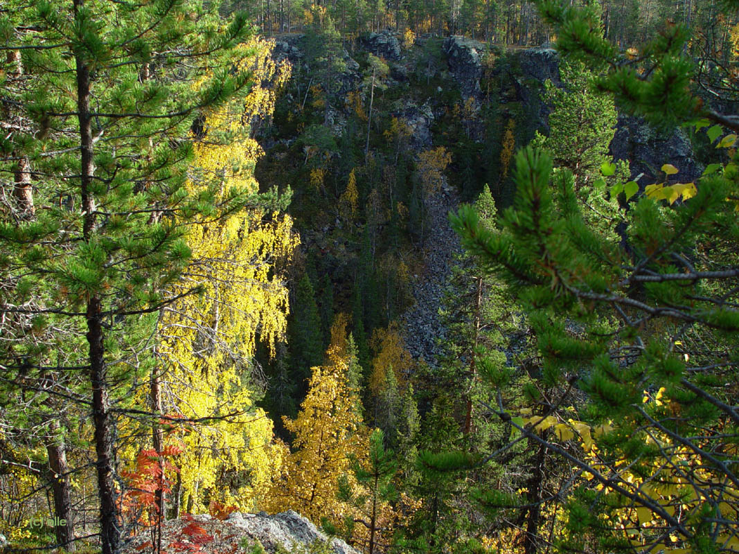 Masugnsbyn - Naturreservat mit Canyon