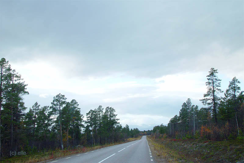 Nikkaluokta - Kebnekaise in Sicht