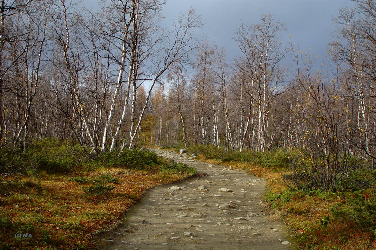 Nikkaluokta - Kebnekaise in Sicht