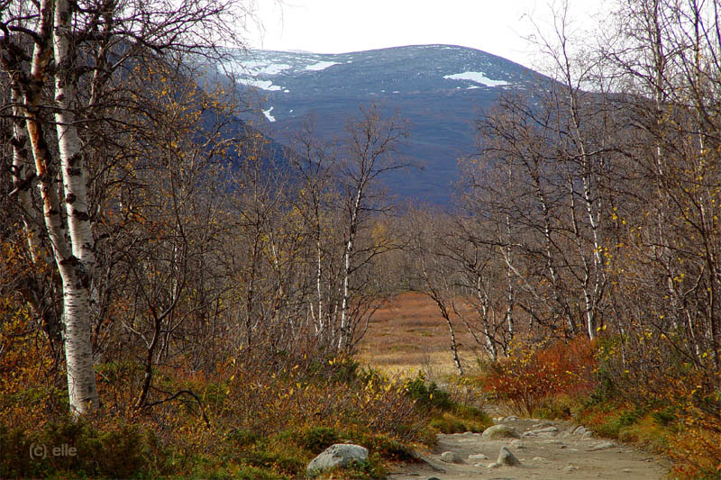 Nikkaluokta - Kebnekaise in Sicht