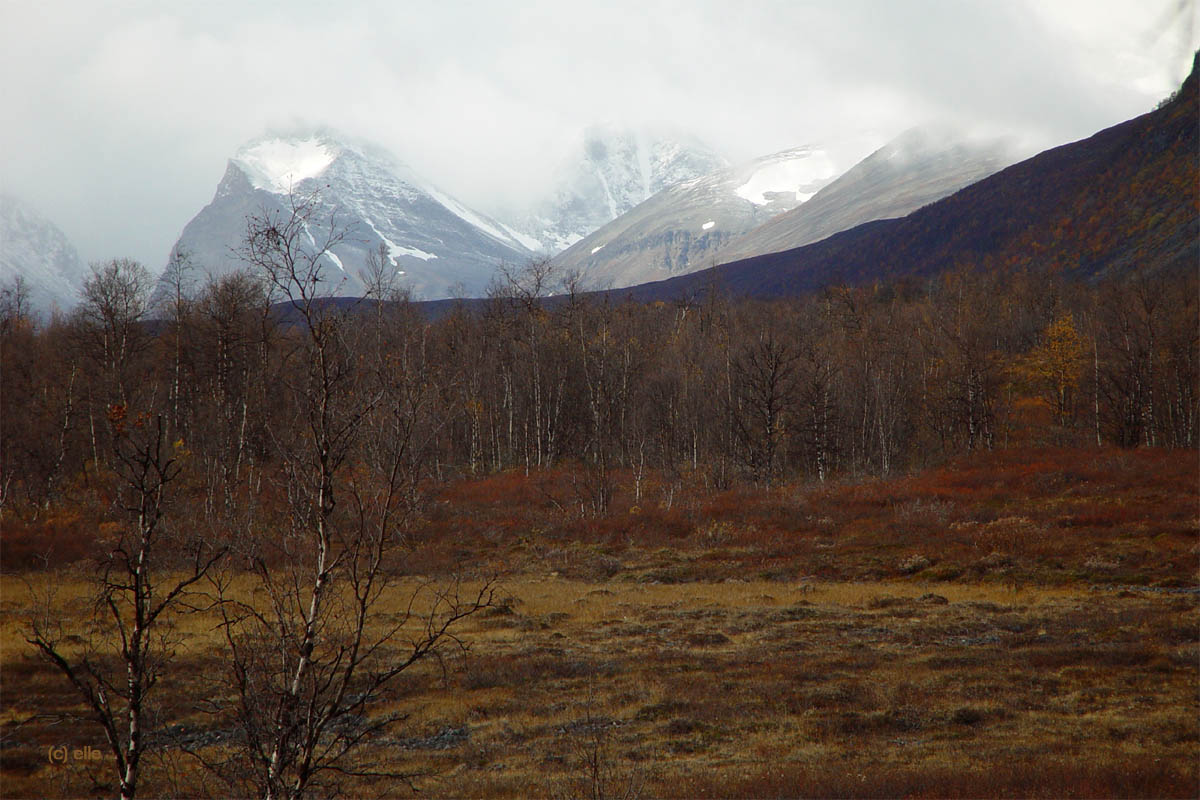 Nikkaluokta - Kebnekaise in Sicht