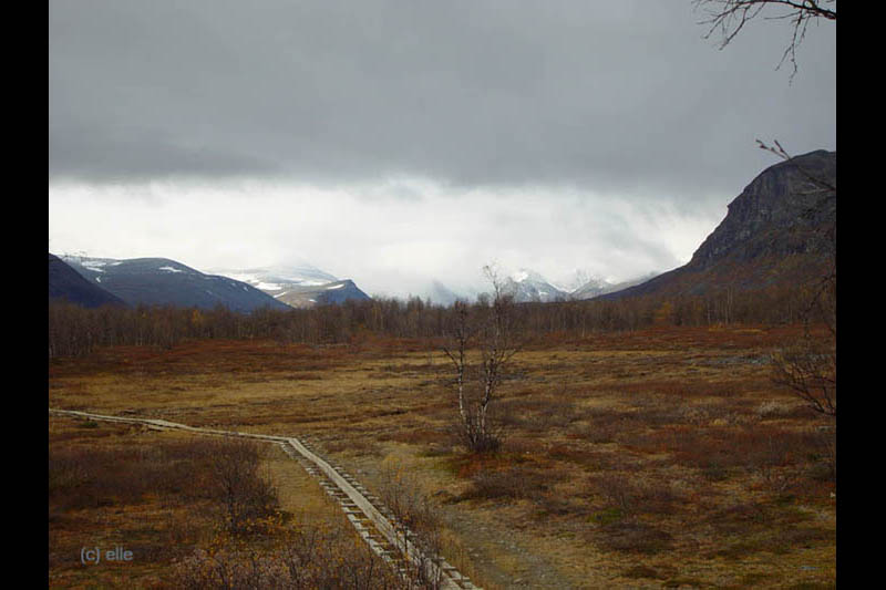 Nikkaluokta - Kebnekaise in Sicht