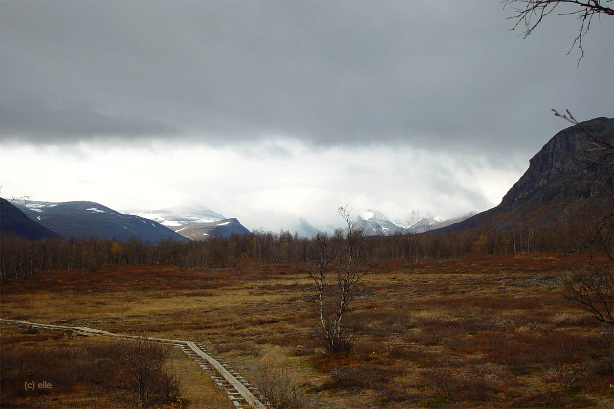 Nikkaluokta - Kebnekaise in Sicht