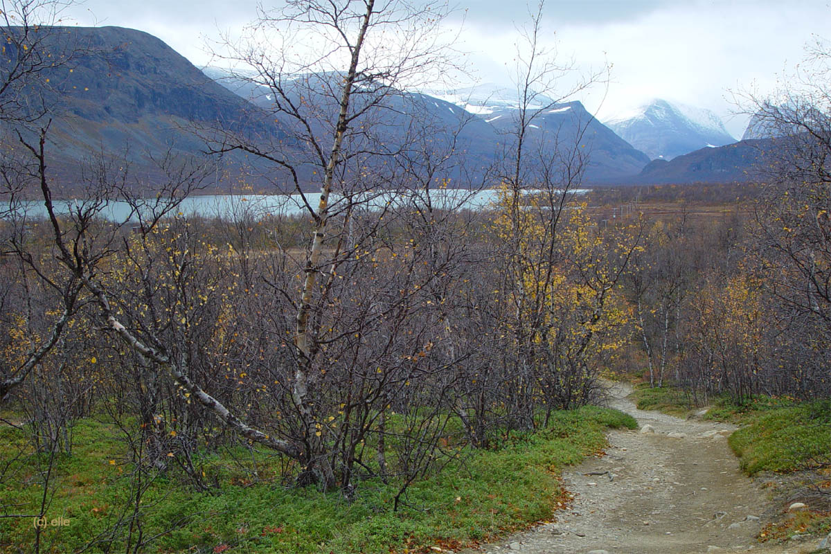 Nikkaluokta - Kebnekaise in Sicht