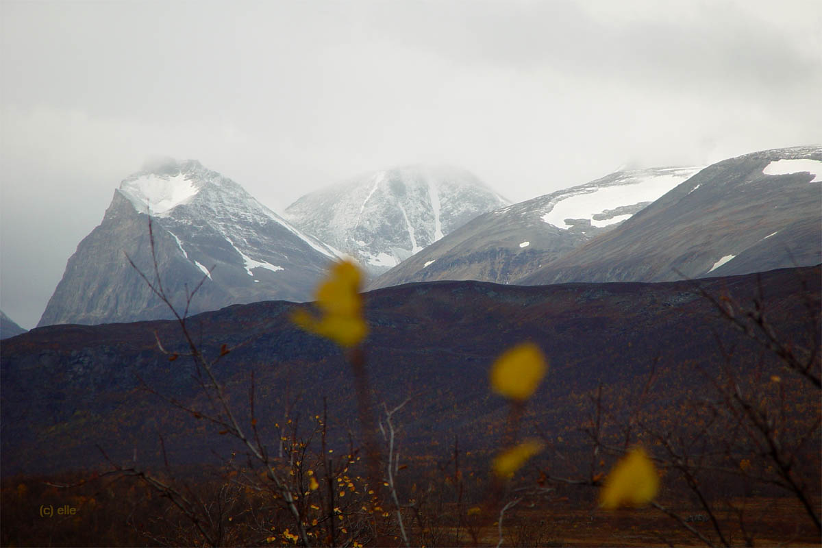 Nikkaluokta - Kebnekaise in Sicht