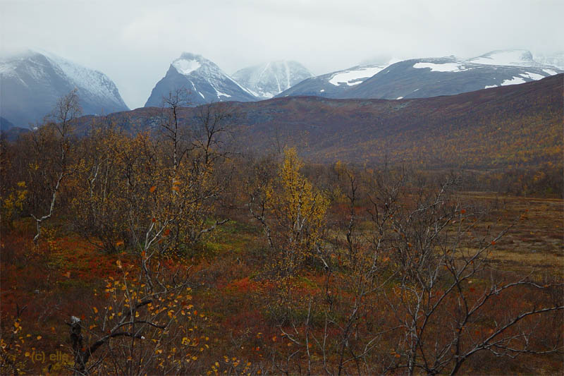 Nikkaluokta - Kebnekaise in Sicht