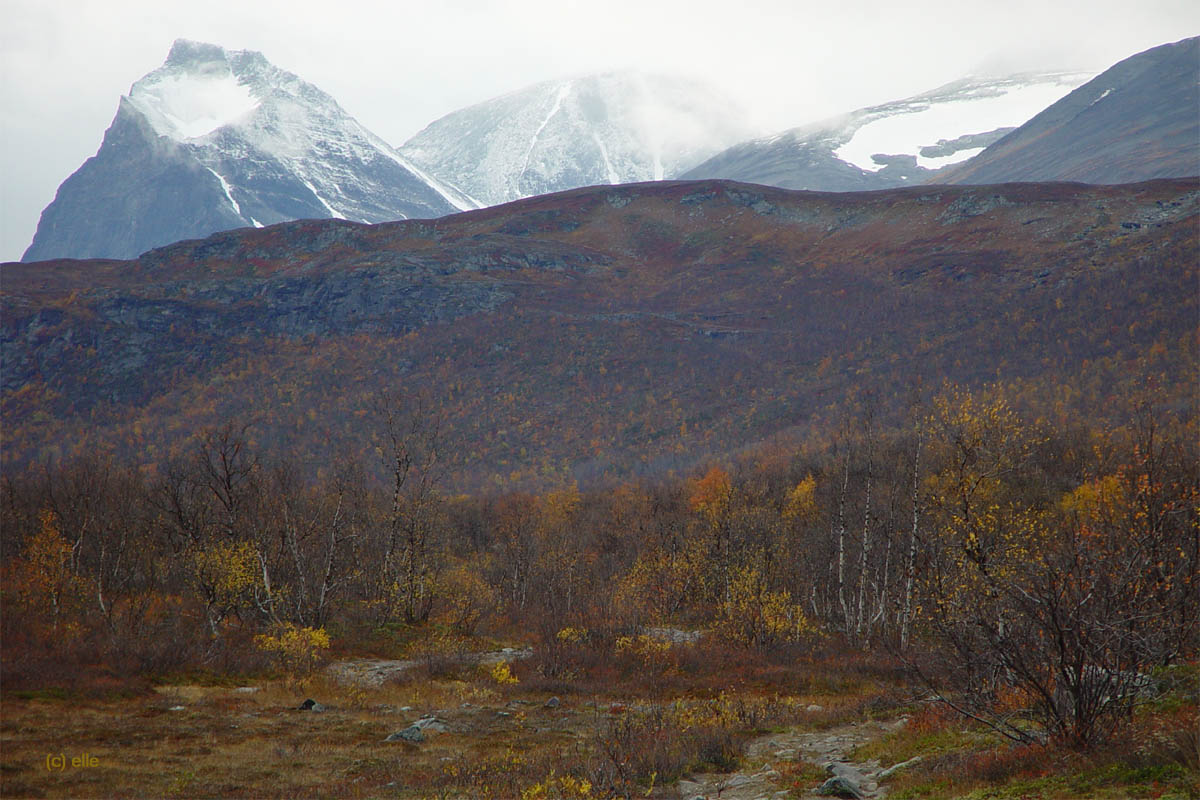 Nikkaluokta - Kebnekaise in Sicht