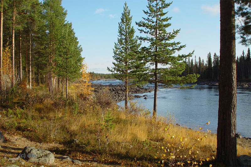 Vindellv - Abschied von Lappland