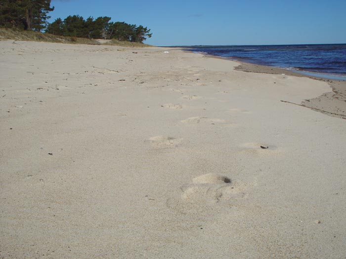 Naturreservat Vitemlla