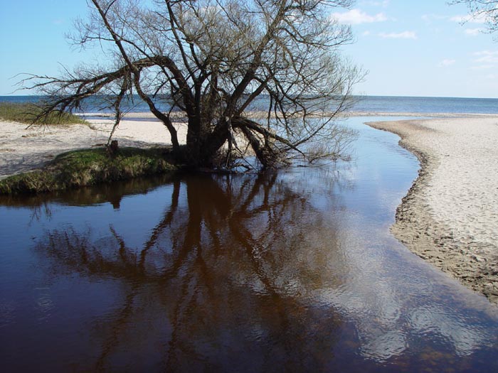 Naturreservat Vitemlla