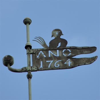 Jahr 1764, Vogel