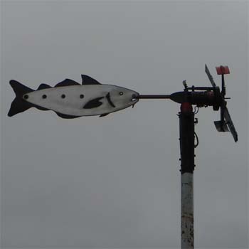 Fisch mit Windrad; Fisch