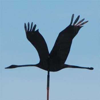 Vogel, Kranich