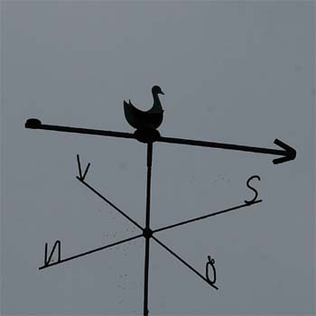 Ente auf einem Pfeil; Ente